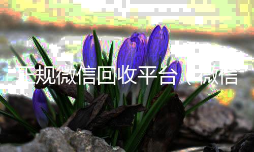 正规微信回收24小时高价回收vx平台(微信回收正规官网)